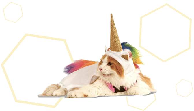Light-Up Unicorn Dog Halloween Costume from Amazon