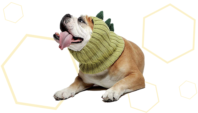 Zoo Snoods Dinosaur Costume from Amazon