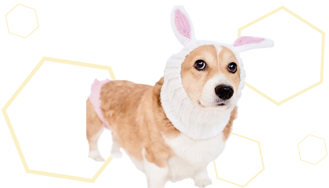 Zoo Snoods Bunny Dog Snood from Amazon
