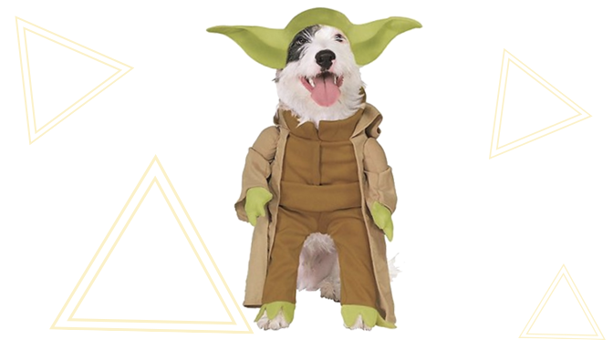 Yoda Dog Halloween Costume from Chewy