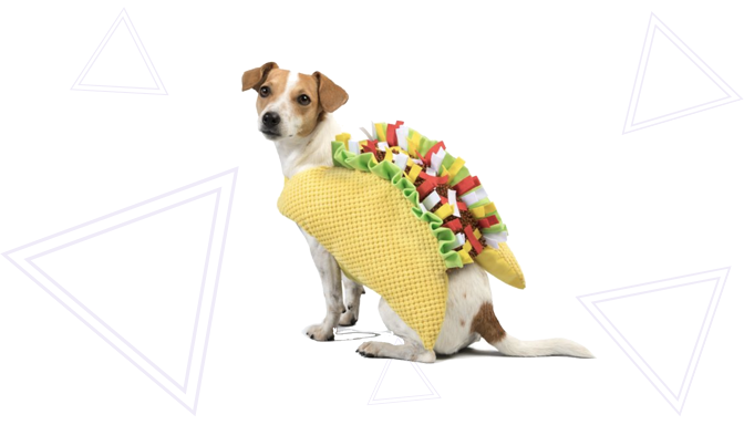 Taco Dog Halloween Costume from PetSmart