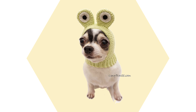 Frog Dog Costume from MyKnitt Handmade Dog Clothes
