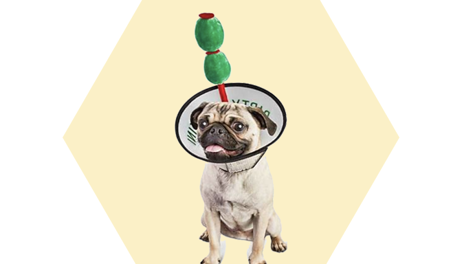 Martini Dog Costume from Petco