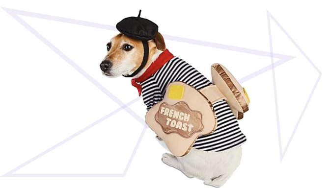 French Toast Dog Halloween Costume from Petco