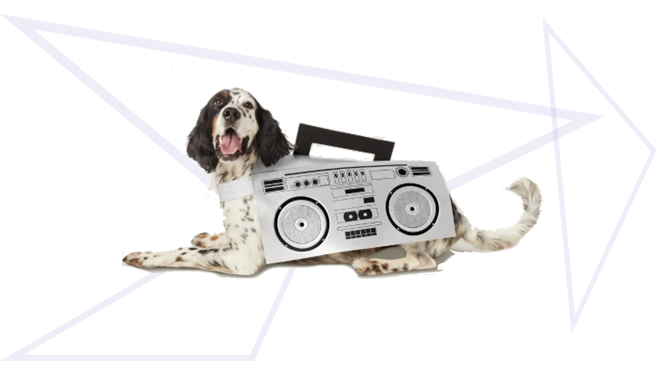 Boombox Dog Halloween Costume from Target