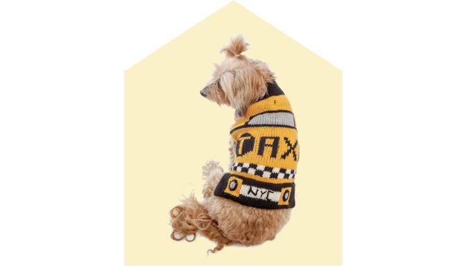 Peruvian Knits Taxi Dog Sweater at Dog & Co.