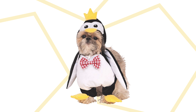 Penguin Dog Halloween Costume from Amazon