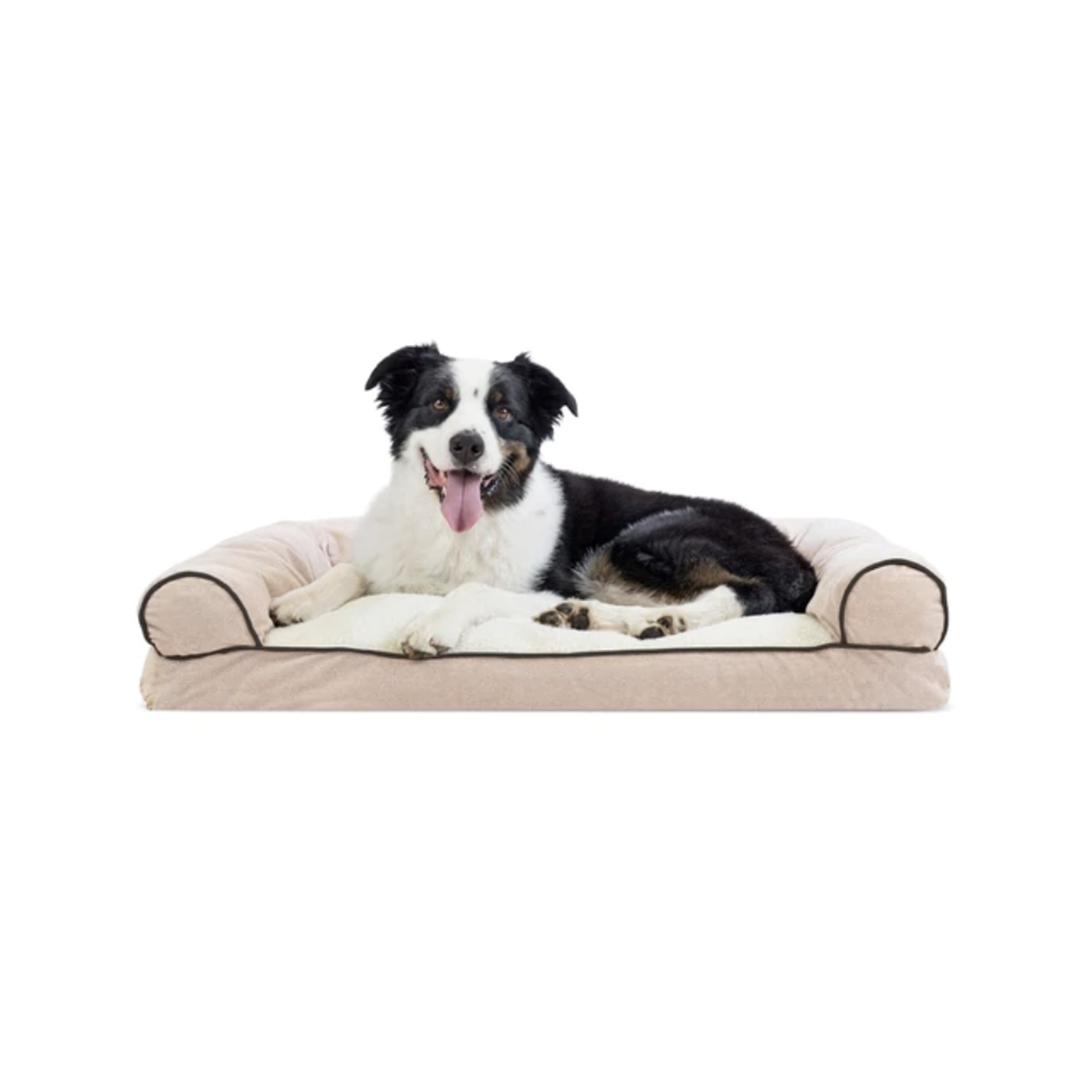 Overstock Black Friday Deals on The Dapple's List of Best Black Friday Deals for Dog Lovers and Dog Owners