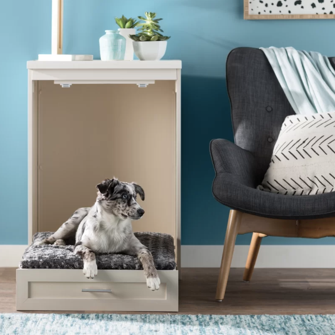 Wayfair Black Friday Deals on The Dapple's List of Best Black Friday Deals for Dog Lovers and Dog Owners