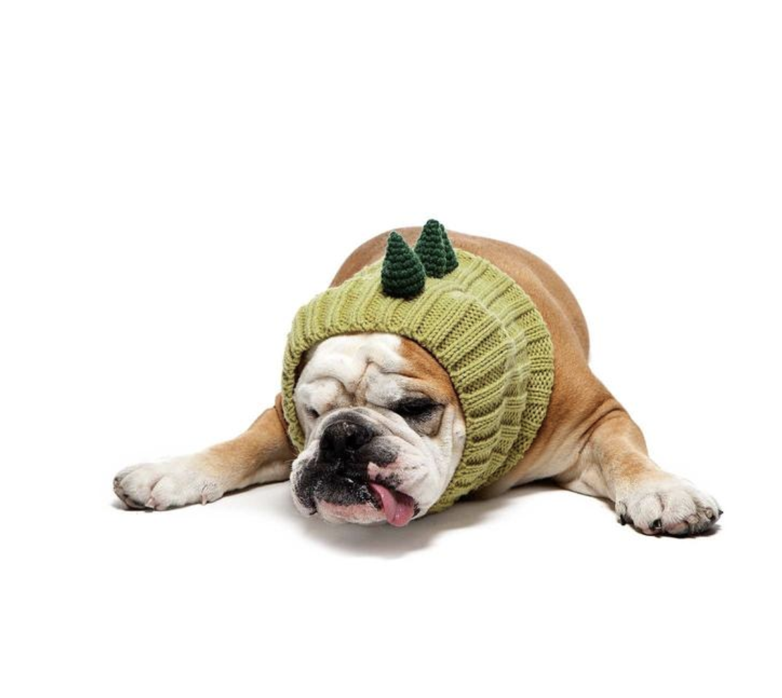 Zoosnoods on Sale in The Dapple's Black Friday Sales Round Up for Dog Lovers Including Dog Treats, Dog Toys, and Dog Beds on Sale