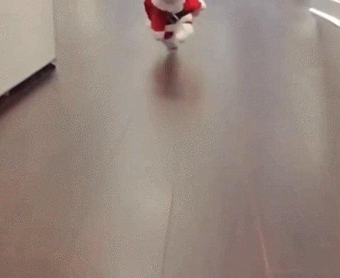 giphy (10).gif