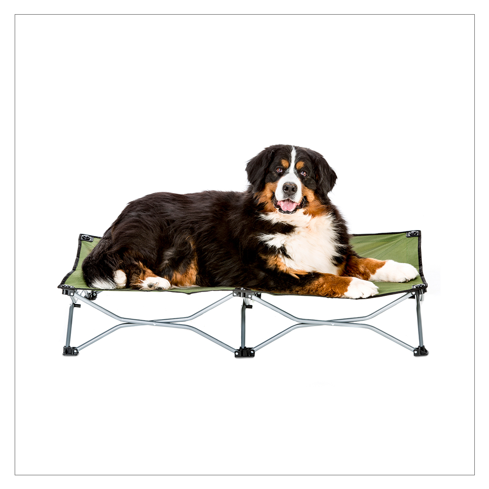 Carlson Pet Products Large Travel Bed for Dogs