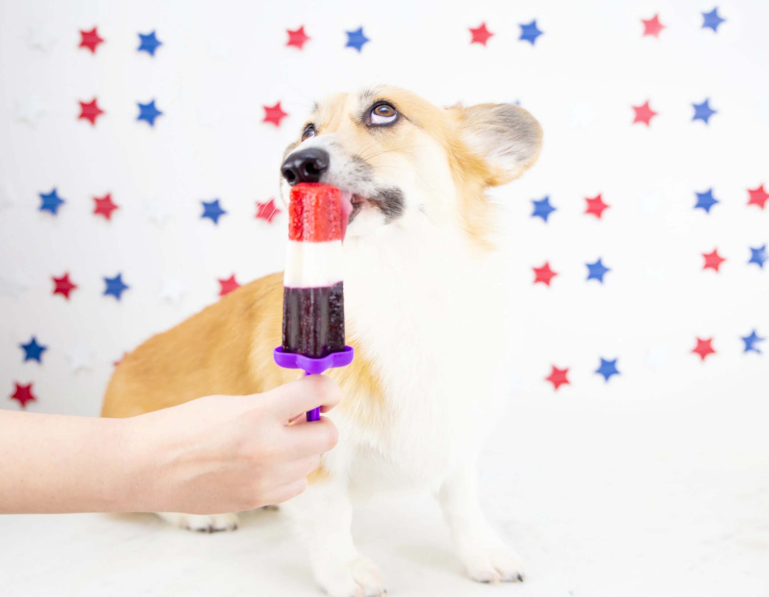 Rocket-Pop--8.jpg
