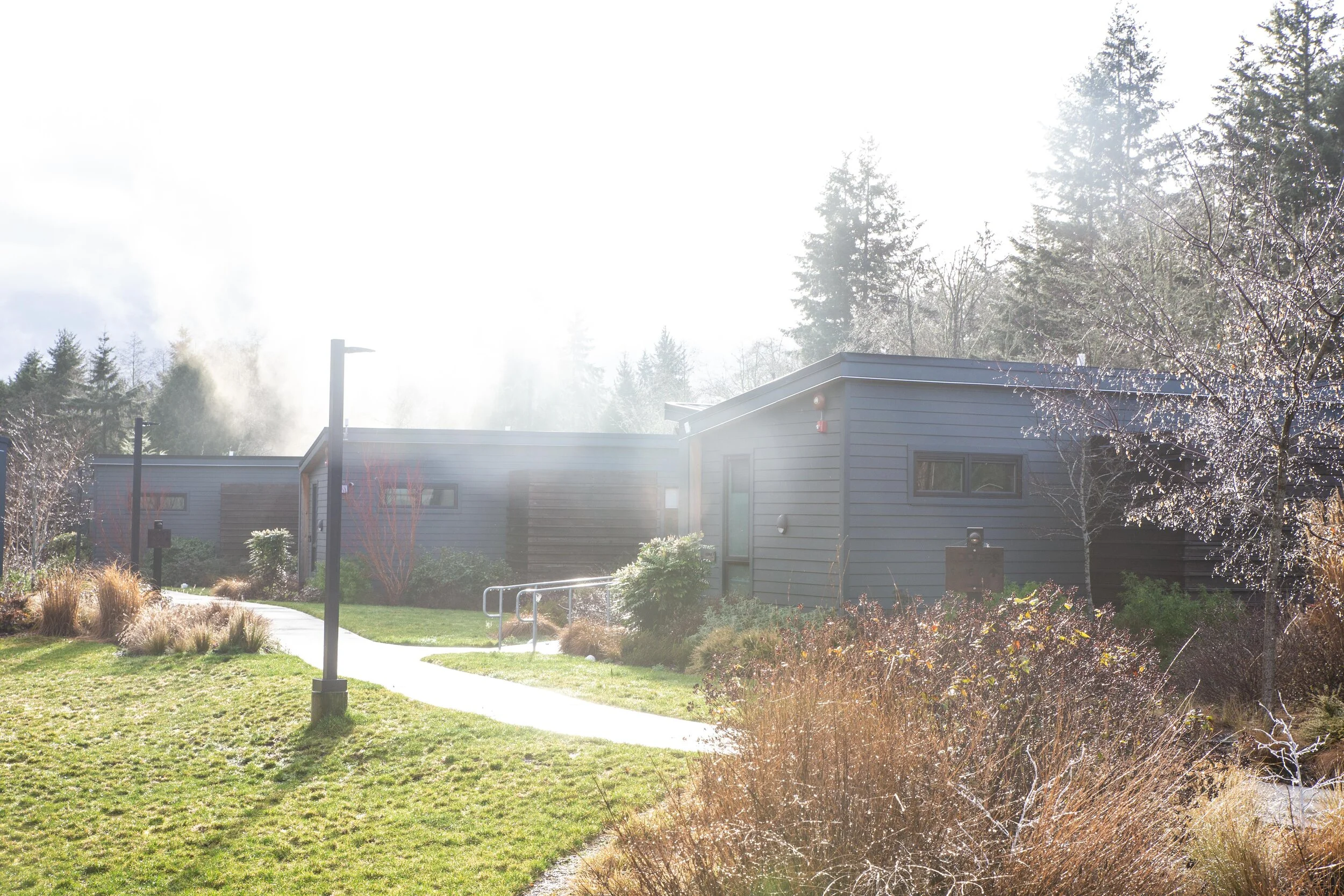 Planning a DogFriendly Trip to Vashon Island