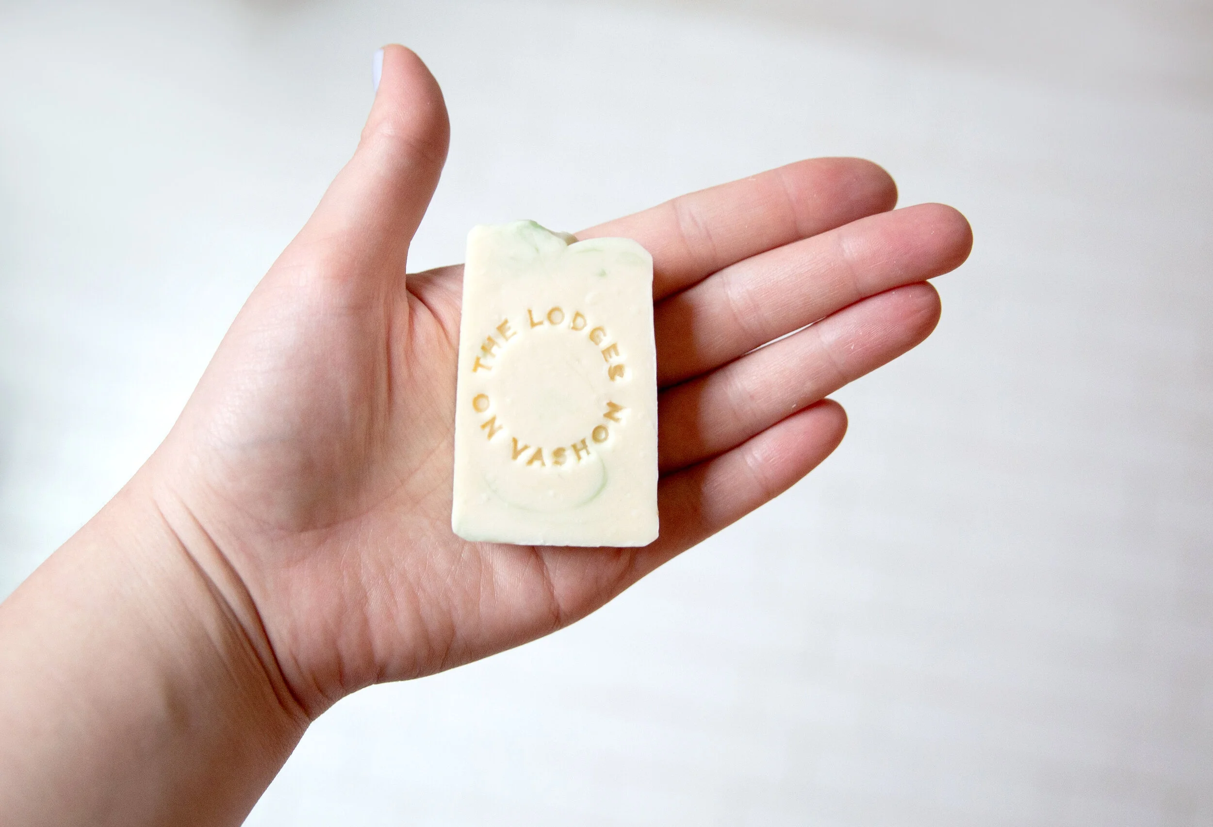 Planning a DogFriendly Trip to Vashon Island