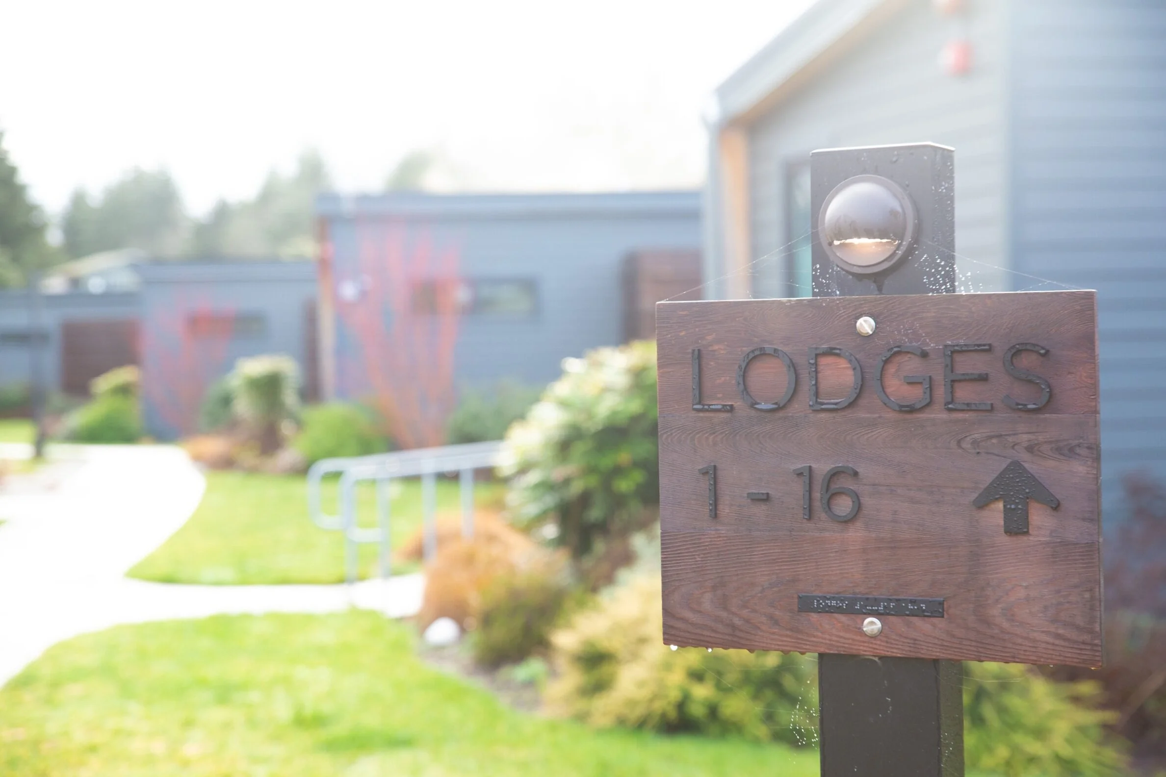 Planning a DogFriendly Trip to Vashon Island