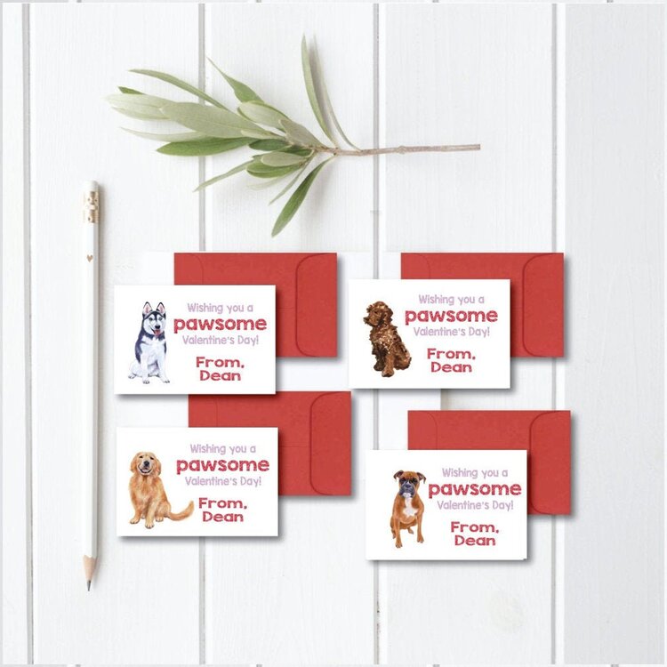 Cute Dog Valentine Kit in 34 Cutest Dog Valentine's Day  Cards for Dog Lovers and Dog Moms