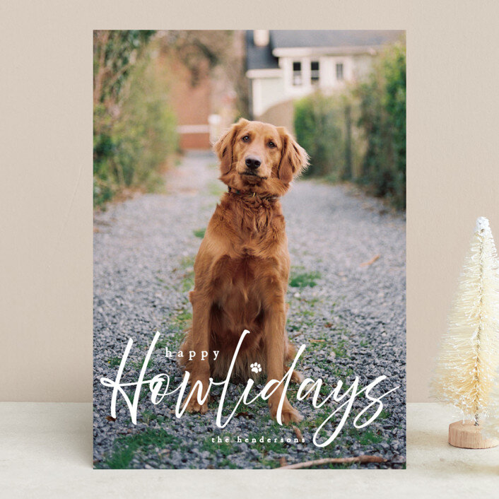 Fuzzy Puppy Holiday Cards By Team Husar New 