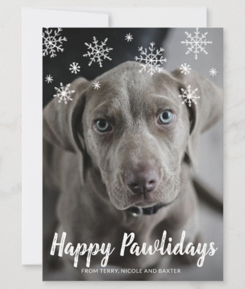53 Cutest Dog Holiday Photo Cards For 2020