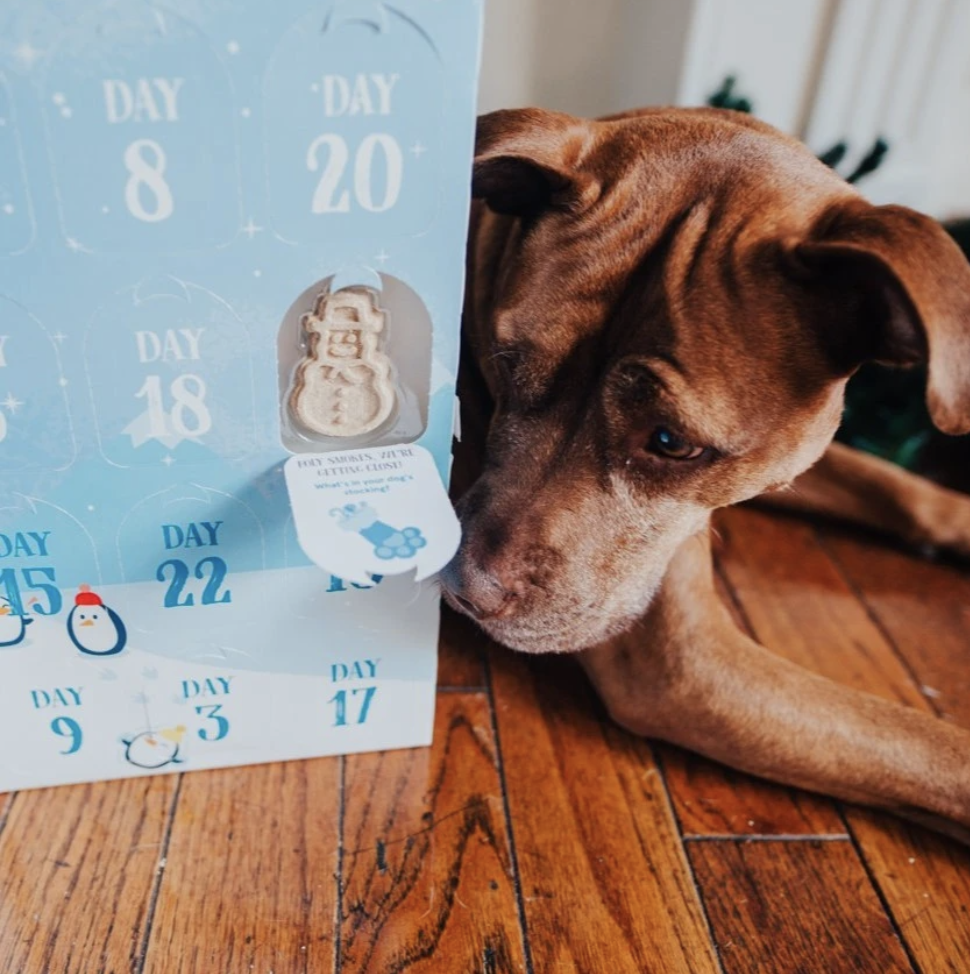 15 Best Dog Advent Calendars of 2020