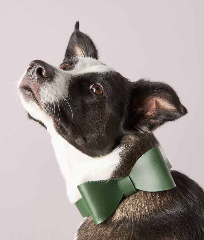 Anthropologie Dog Bow Tie in The Dapple's Black Friday Sales Round Up for Dog Lovers Including Dog Treats, Dog Toys, and Dog Beds on Sale