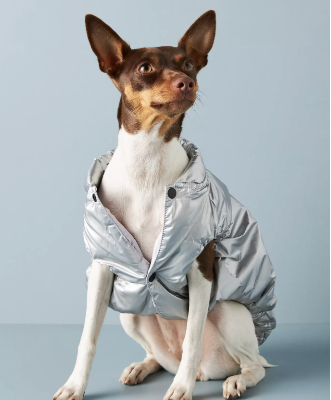 Anthropologie Dog Coat in The Dapple's Black Friday Sales Round Up for Dog Lovers Including Dog Treats, Dog Toys, and Dog Beds on Sale
