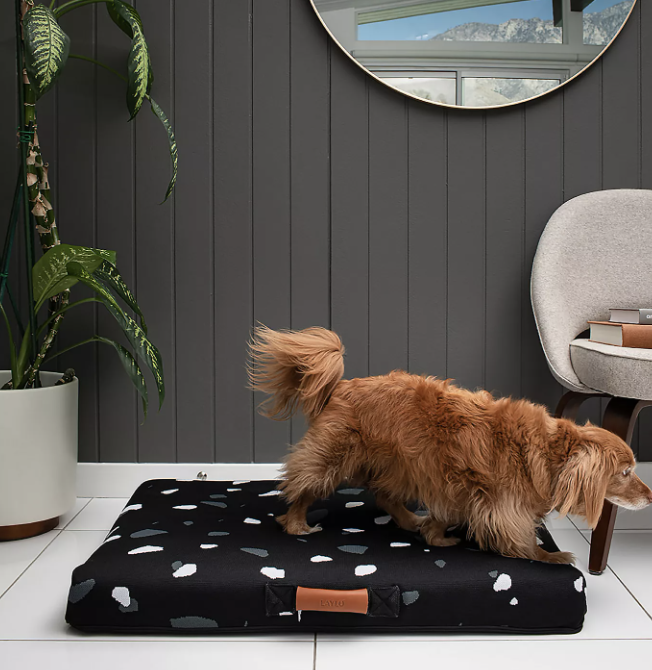 Anthropologie Dog Bed in The Dapple's Black Friday Sales Round Up for Dog Lovers Including Dog Treats, Dog Toys, and Dog Beds on Sale
