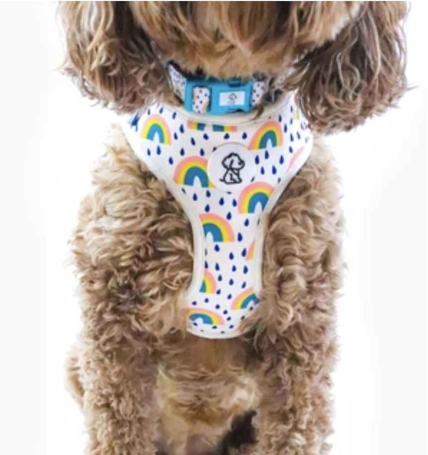 Ripley and Rue Dog Harness in The Dapple's Black Friday Sales Round Up for Dog Lovers Including Dog Treats, Dog Toys, and Dog Beds on Sale