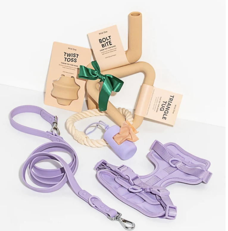 Wild One Dog Toy Gift Sets in The Dapple's Black Friday Sales Round Up for Dog Lovers Including Dog Treats, Dog Toys, and Dog Beds on Sale