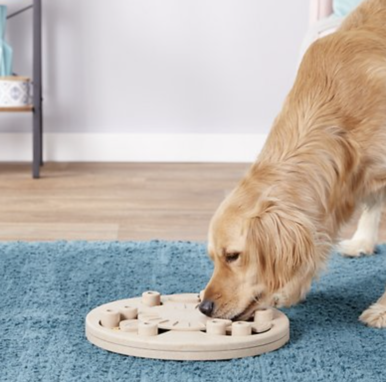 Chewy Dog Toy in The Dapple's Black Friday Sales Round Up for Dog Lovers Including Dog Treats, Dog Toys, and Dog Beds on Sale