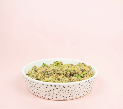 Spot & Tango Dog Food on Sale in The Dapple's Black Friday Sales Round Up for Dog Lovers Including Dog Treats, Dog Toys, and Dog Beds on Sale