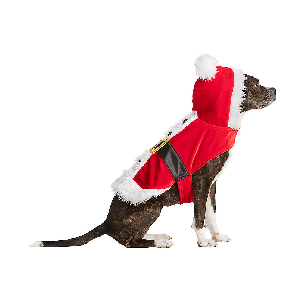 Dog Santa Costume in The Dapple's Black Friday Sales Round Up for Dog Lovers Including Dog Treats, Dog Toys, and Dog Beds on Sale