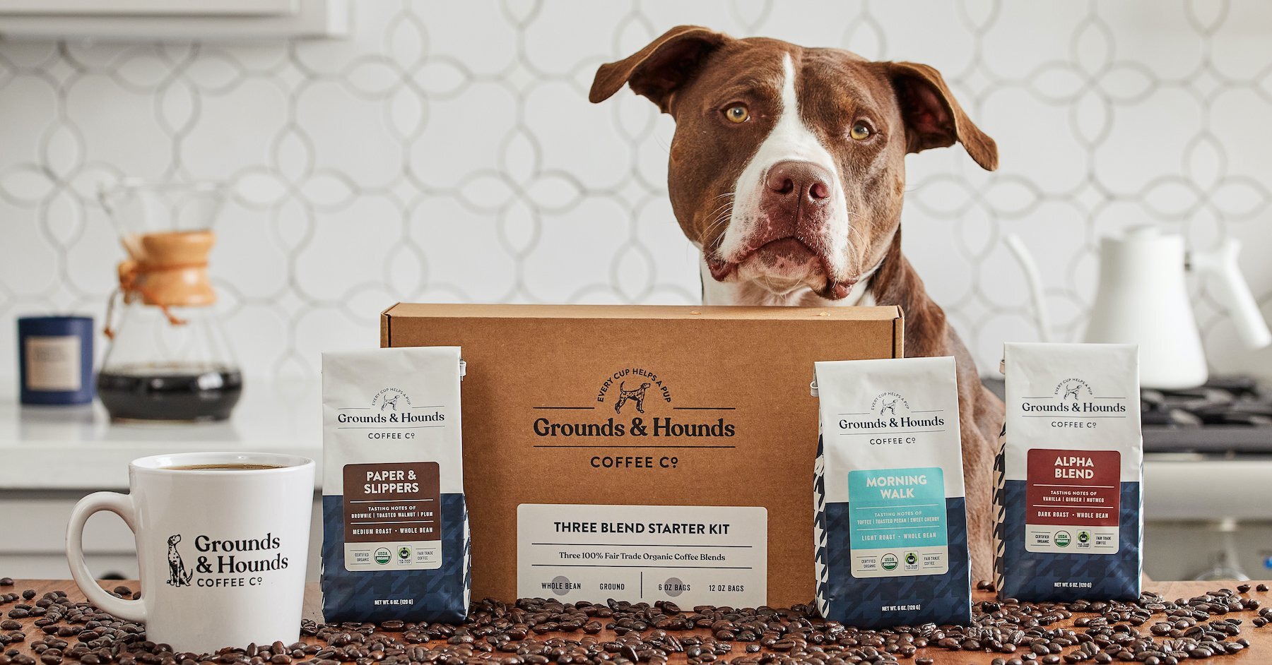Grounds and Hounds Starter Set