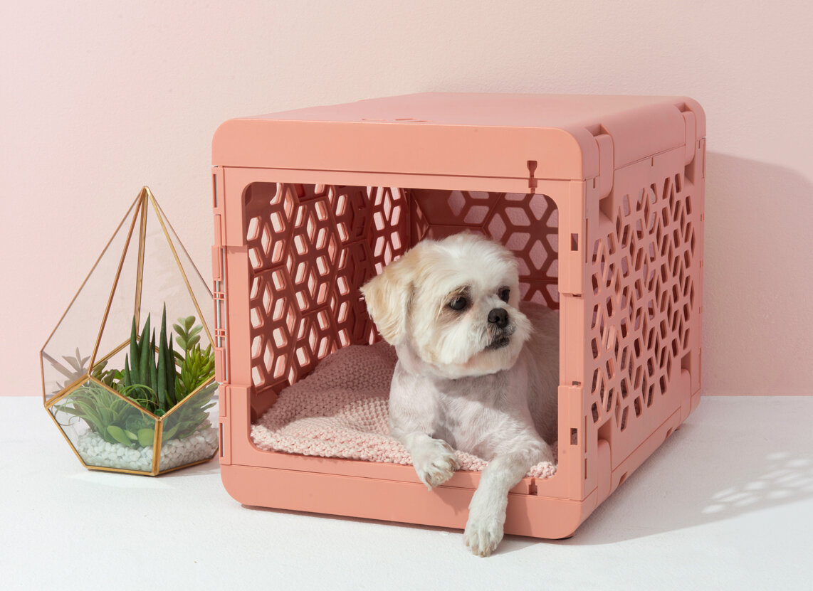 KindTail Pawd Dog Crate