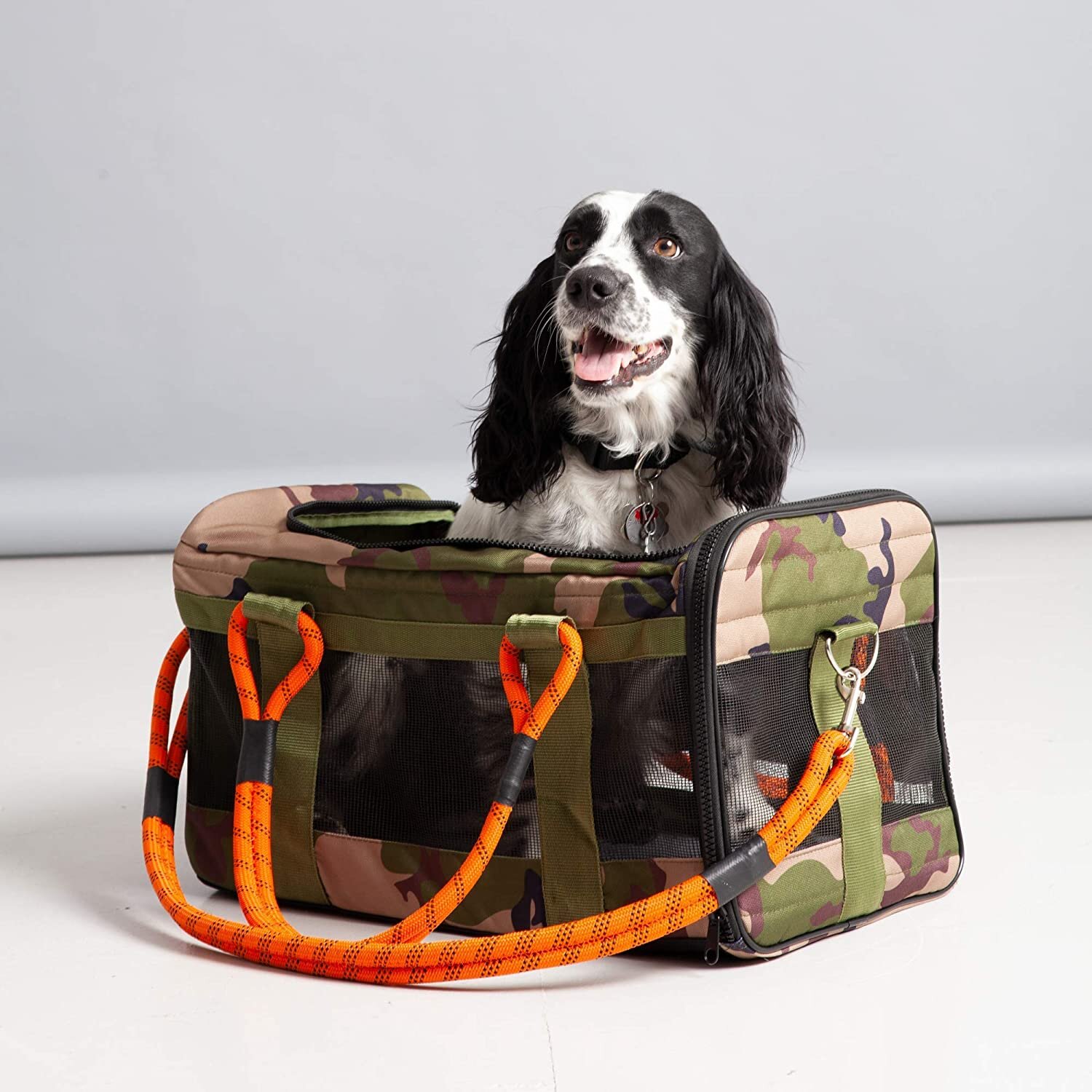 ROVERLUND Adventure & Travel Gear for Dogs