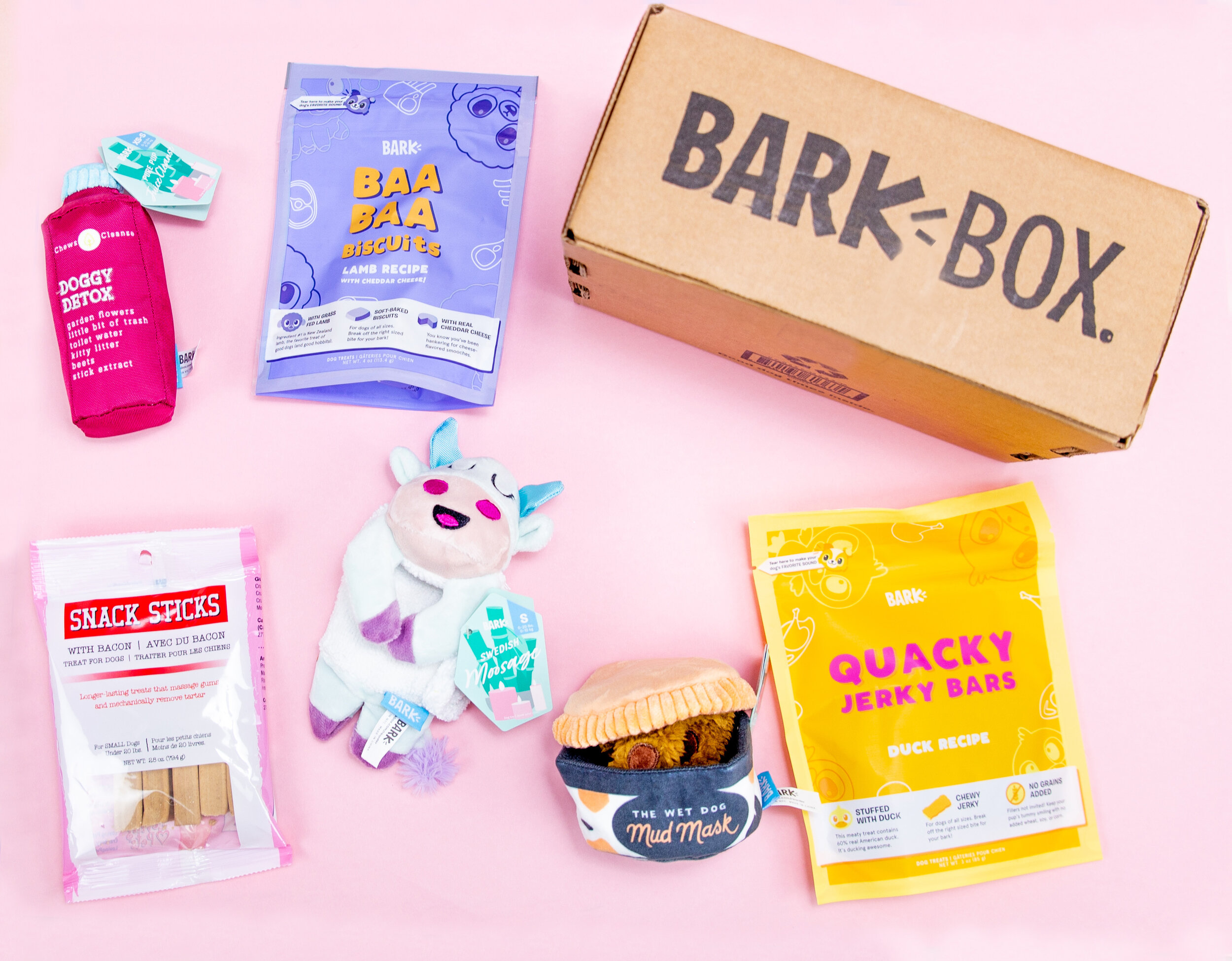 The Best Dog Subscription Boxes  