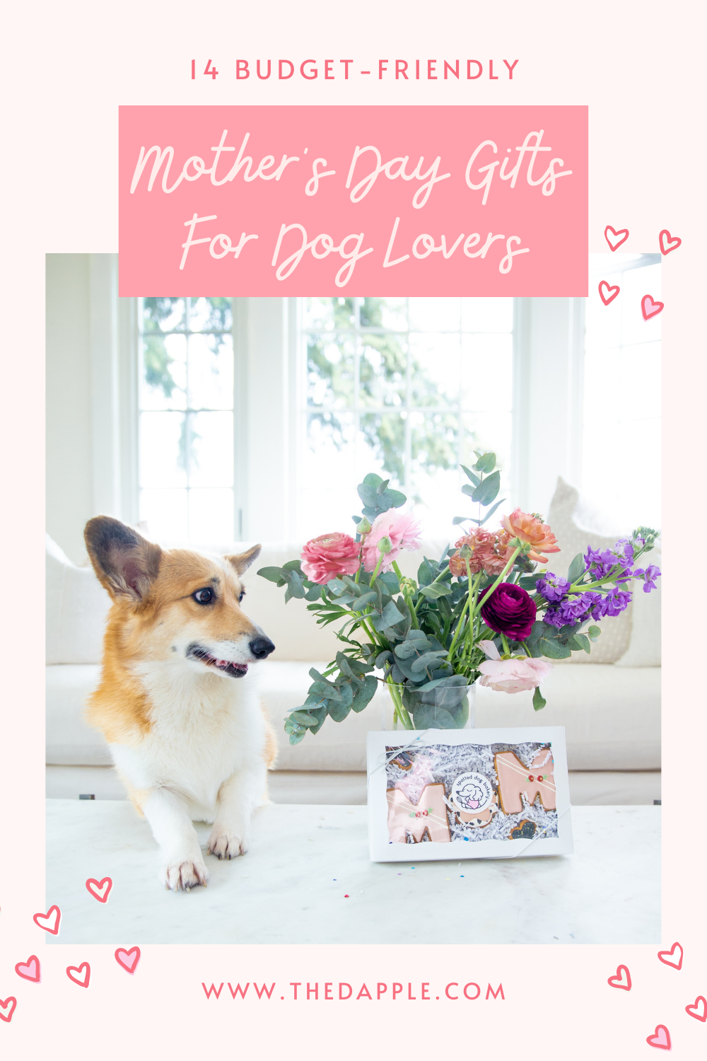 DaySmart  8 Priceless Dog Mom Gifts for Mother's Day