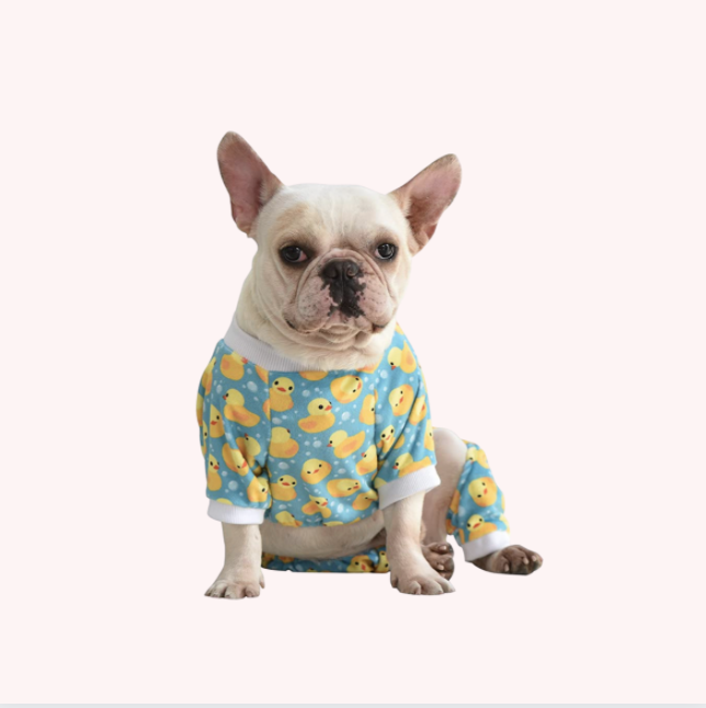 Dog Pajamas in How to Throw A Puppy Pajama Party: Barkday Party DIY for Dog Birthday Parties Including Dog Waffle Recipe, Shopping Guide, and Ideas