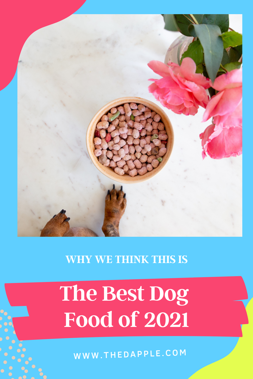 We Tried Spot & Tango's 2021 Dog Food Here's Our Review