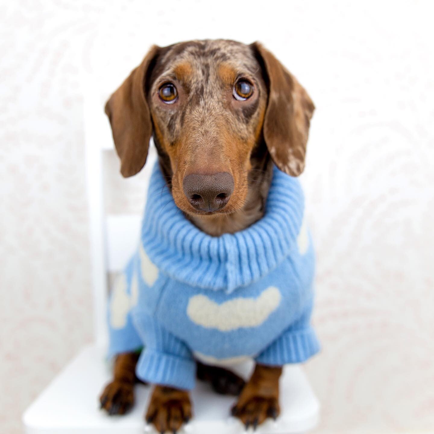 Cloudy with a chance of 🌭! ☁️ Happy weekend, friends! We&rsquo;ve got a new Favorite Things list in our bio link (which includes this adorable sweater!) and we also did a little bit of talking about the REALLY big news that we&rsquo;ve been hinting 