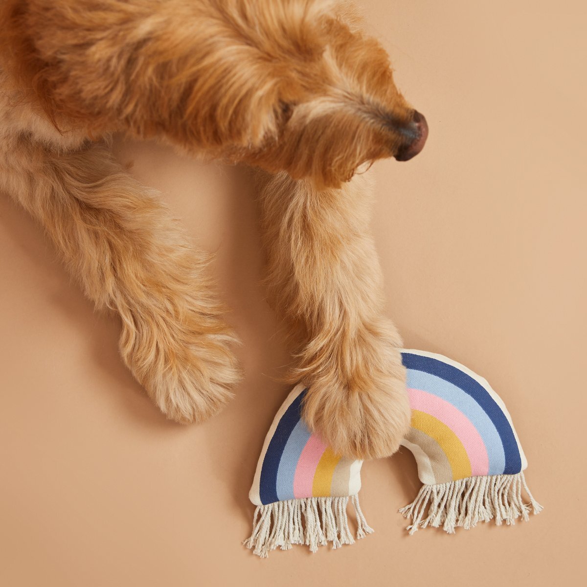 Harry Barker Rainbow Dog Toy