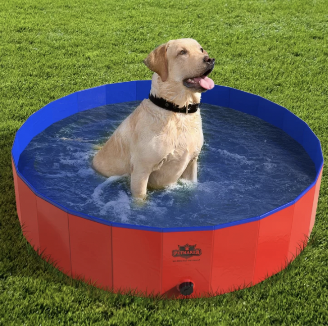 Wayfair Dog Pool in Best Labor Day Weekend Deals for Dog Lovers 2022