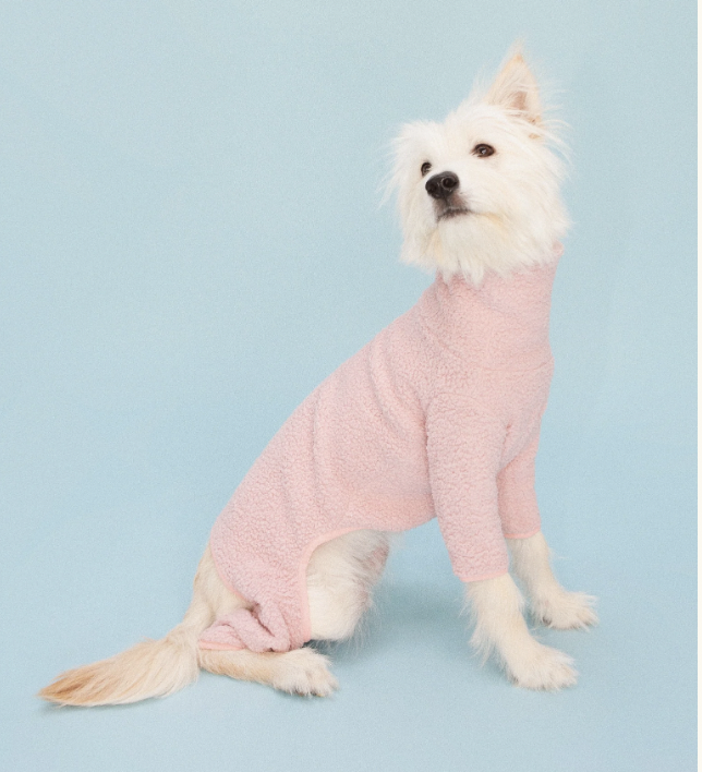 Little Beast Dog Fleece in Best Labor Day Weekend Deals for Dog Lovers 2022