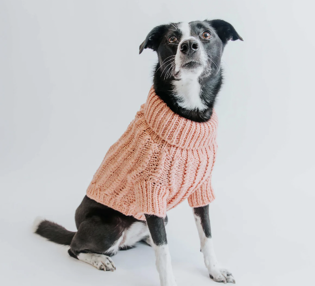 Sassy Woof Pink Dog Sweater in Best Labor Day Weekend Deals for Dog Lovers 2022