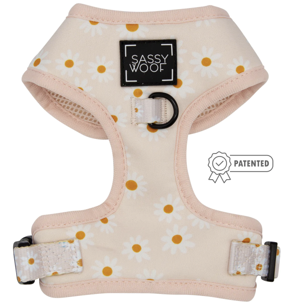 Sassy Woof Daisy Dog Harness in Best Labor Day Weekend Deals for Dog Lovers 2022