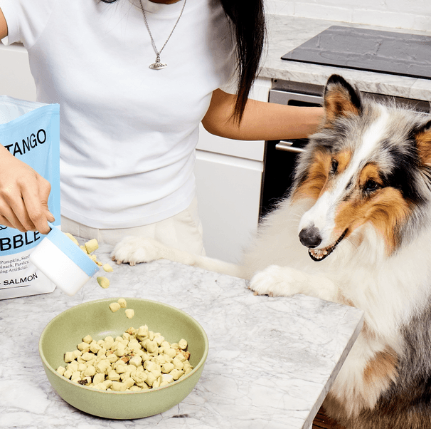 Spot &amp; Tango Discount  in The Best Memorial Day Weekend Deals for Dog Lovers 2025: Treats, Toys, Dog Carriers, Dog Beds on Sale
