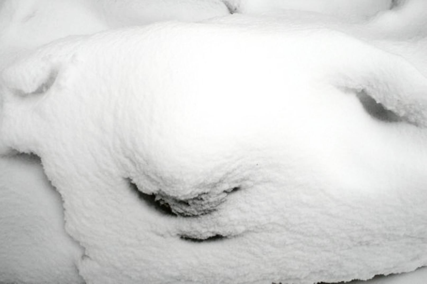 SnowFace1.png