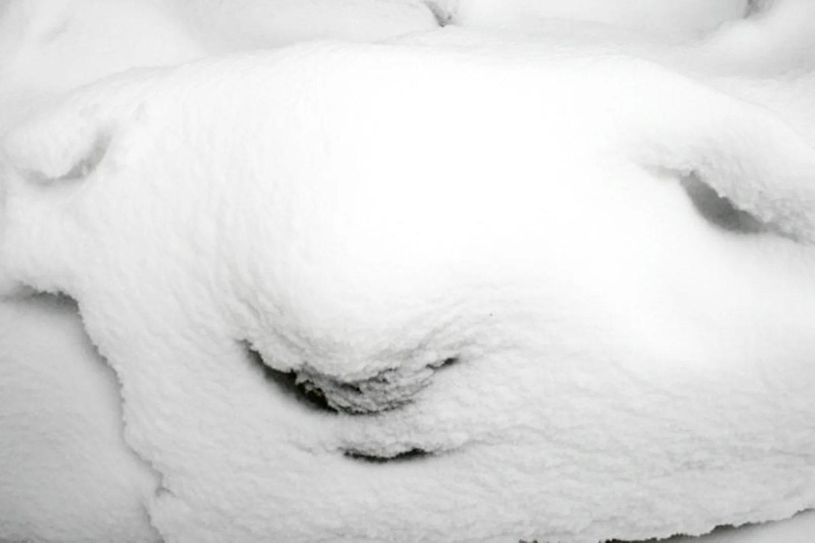 SnowFace1.jpg