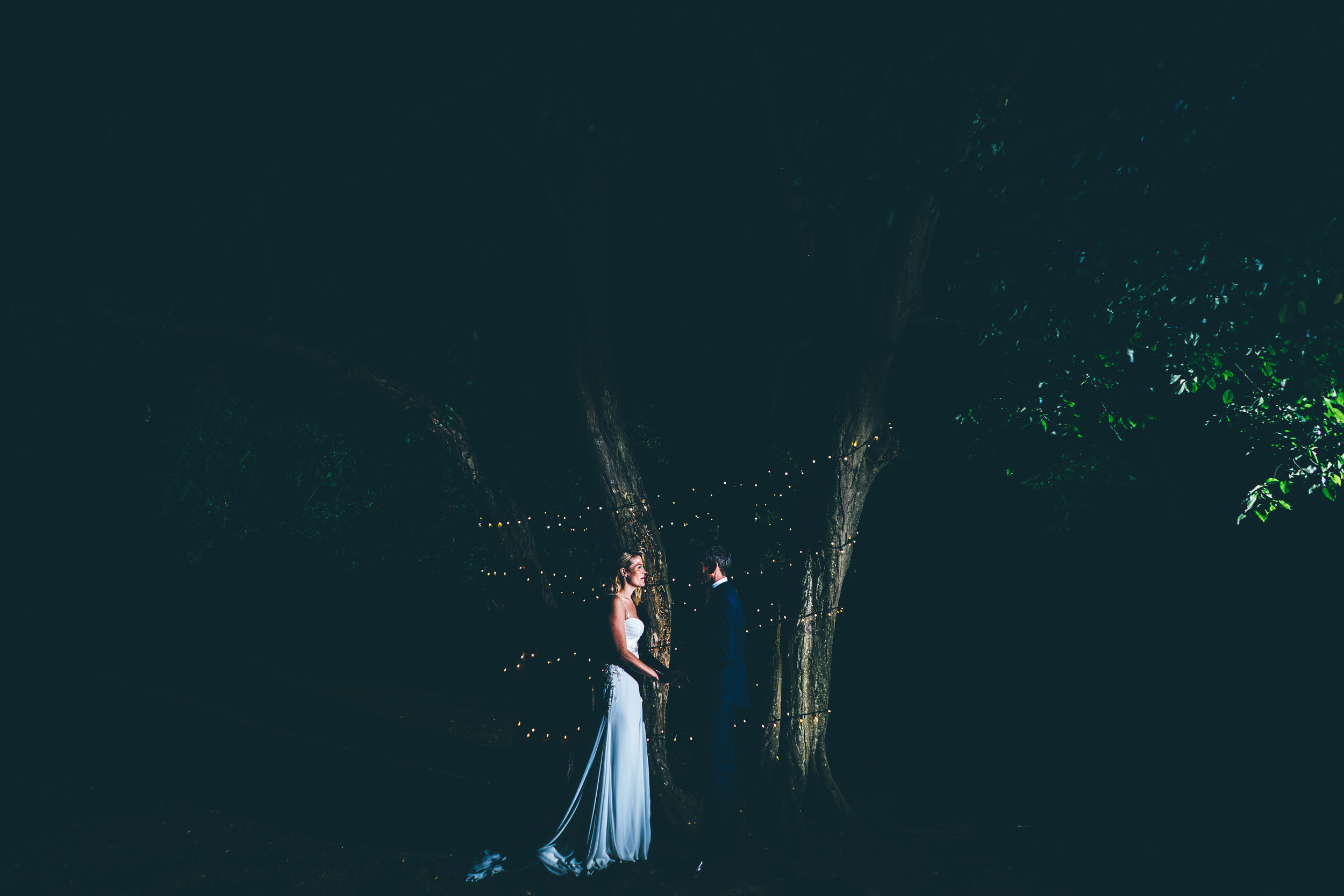 wedding portrait at mountains