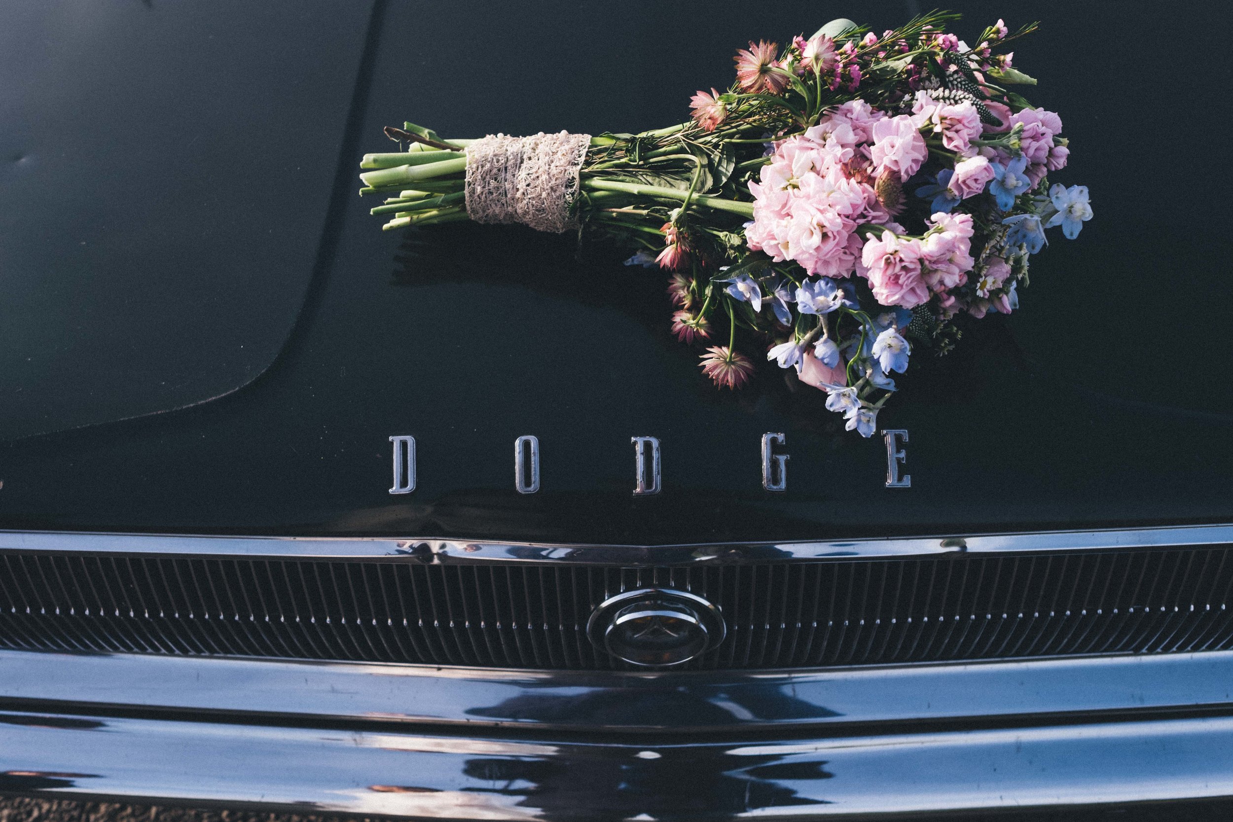 Bouquet and Dodge